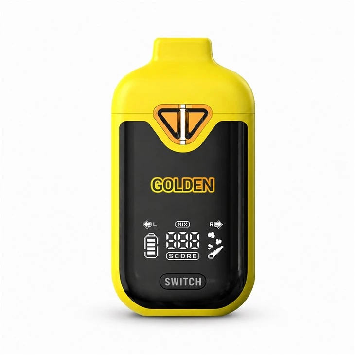 듀얼 챔버 일회용 Vape