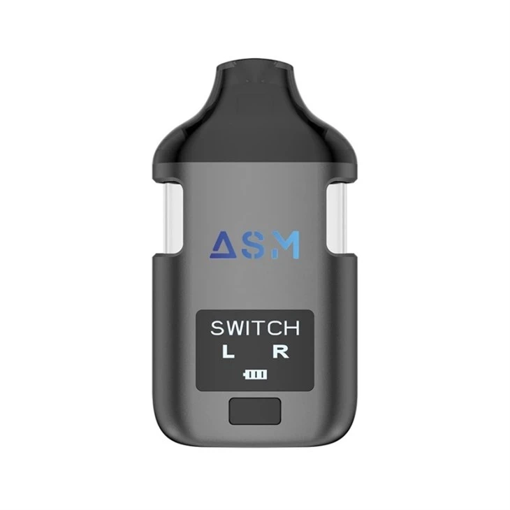 이중 맛 일회용 Vape